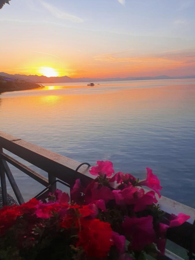 Hotel Piccolino Shkodër 外观 照片