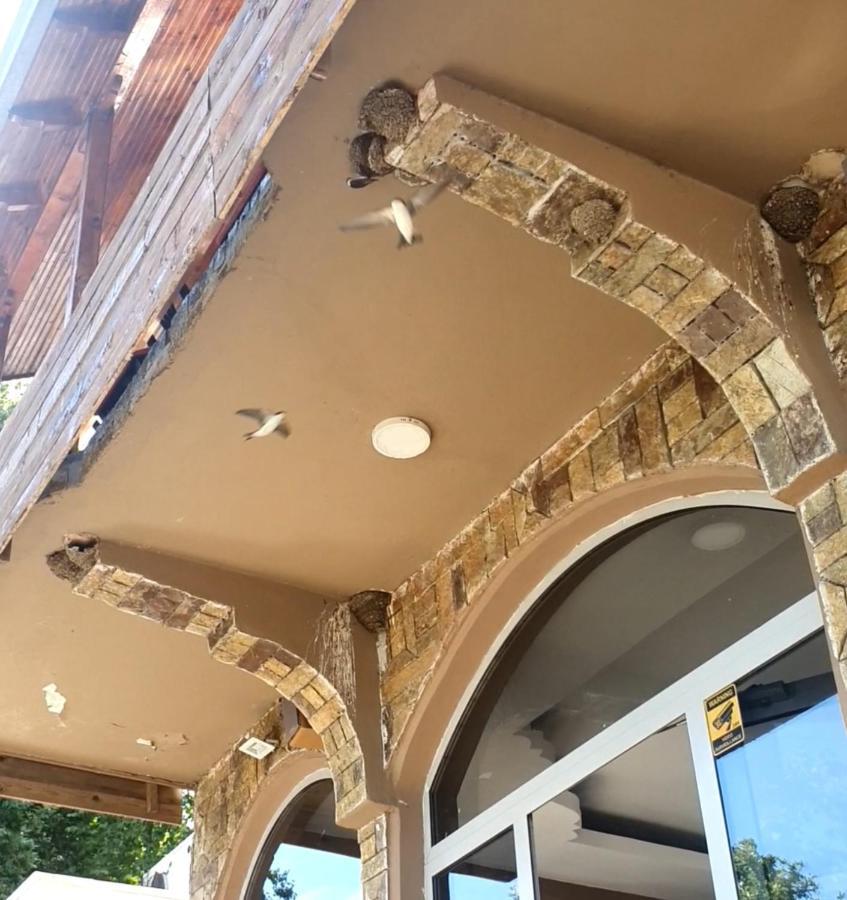 Hotel Piccolino Shkodër 外观 照片